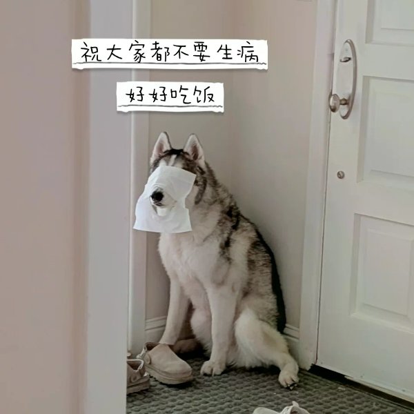笔记图片