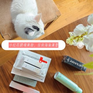 小红花美妆大实测｜反向海淘时效稳、价格优...
