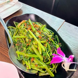 新泽西挖掘到美味东南亚餐🤤人均20🔪...