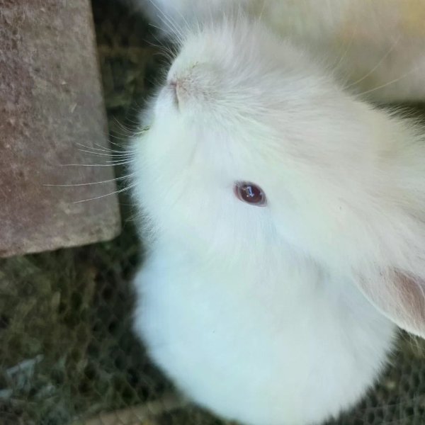 笔记图片