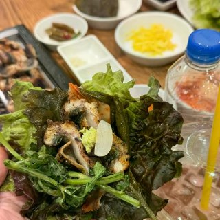和姐妹们的🇰🇷之旅...