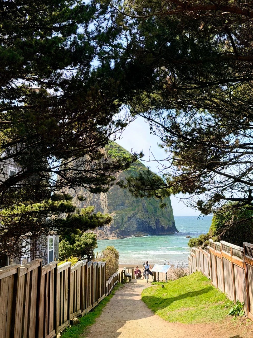 Cannon Beach | 不小心掉进...