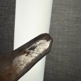 圣地亚哥｜带娃挖宝藏💎好地方😍👍...