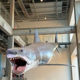 🎬《大白鲨》50周年纪念展 (Jaws:...