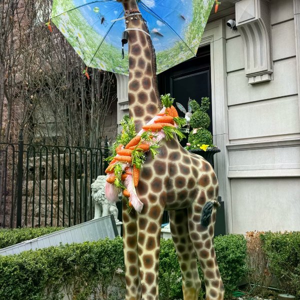 笔记图片