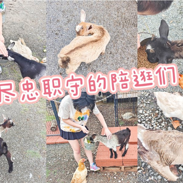 笔记图片
