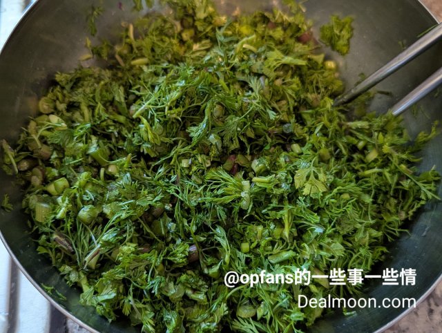 茴香猪肉馅饺子