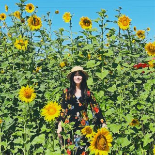 完整的夏天，就是穿着花裙子去看向日葵🌻...