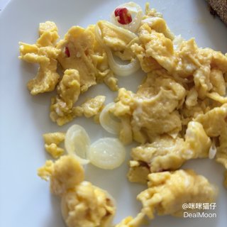 阳台种菜记：洋葱🧅...