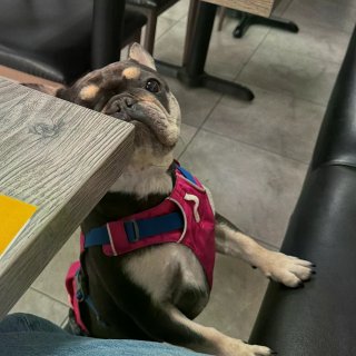 🇺🇸洛杉矶正宗桂林米粉🆕店🆓续粉续汤🍜！...