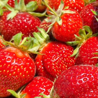 西雅图草莓季🍓U-pick农场推荐&小贴...