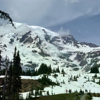 6.1雷尼尔山🏔️实况｜美到失语！...