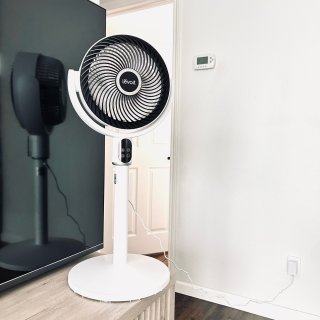 20dB低噪+强劲循环，Levoit风扇...