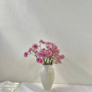 湾区生活｜沉浸式体验美学Event💐🧖‍...