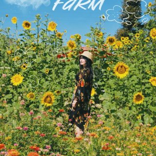 完整的夏天，就是穿着花裙子去看向日葵🌻...