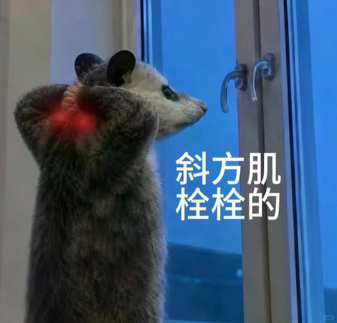 leg day爬两步楼梯快低血糖了沃日...