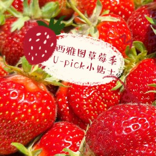 西雅图草莓季🍓U-pick农场推荐&小贴...