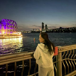 🇰🇷Seoul PLOG☆₊⁺₊⁺...