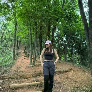 山、树与我
