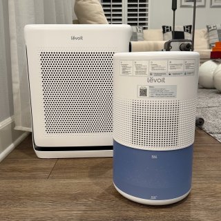Lěvoit Superior 450S...