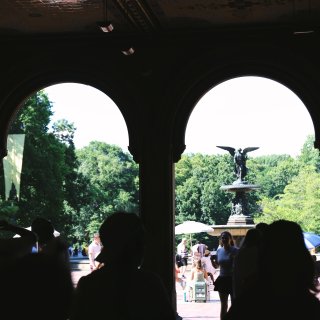 Central Park 初夏🌳...