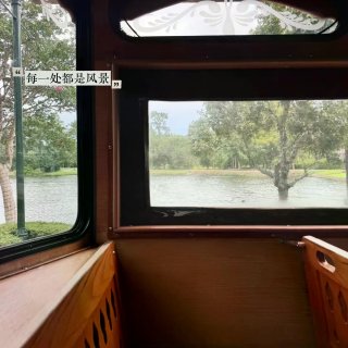 休斯顿竟然有免费的复古铛铛车🚌✨...
