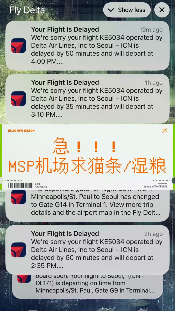 急！！MSP机场求猫条/湿粮...