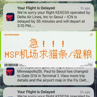 急！！MSP机场求猫条/湿粮...