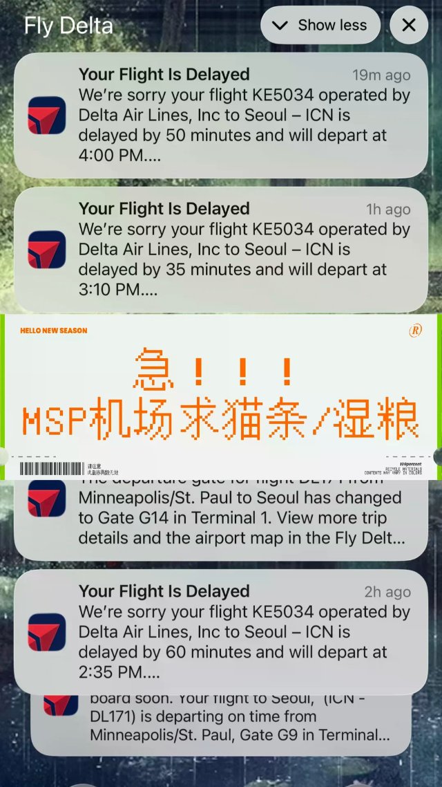 急！！MSP机场求猫条/湿粮
