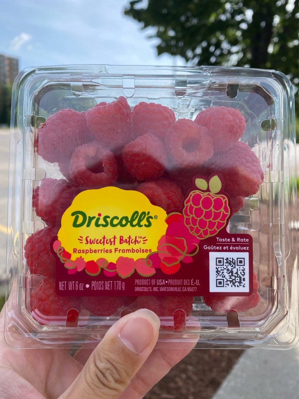 Driscoll’s🏠的sweetest...