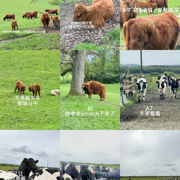 笔记图片