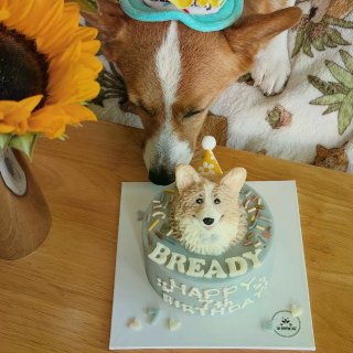 祝小面包！7岁快乐🎂🍞...