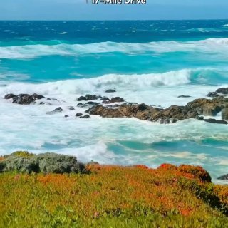 加州1号公路自驾攻略🌊附拍照机位+不绕路...