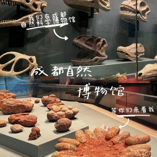 成都自然博物馆｜宝石+恐龙一站式搞定！...