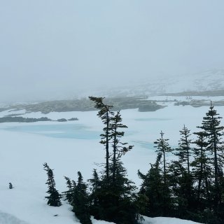 Alaska Cruise 第二站 Sk...