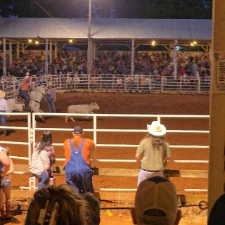 第一次现场看美国 Rodeo 🤠...