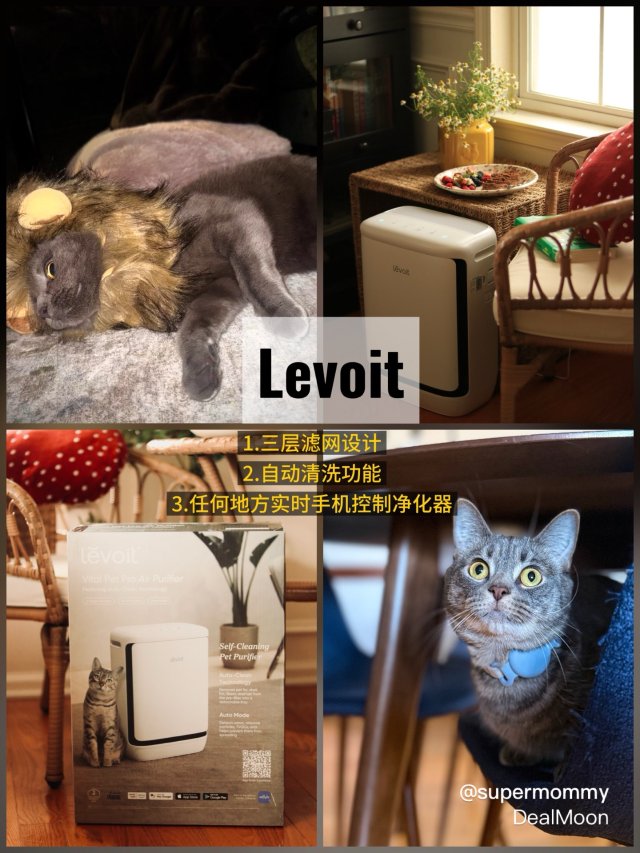 🐈Levoit/新品宠物奴专属空气...
