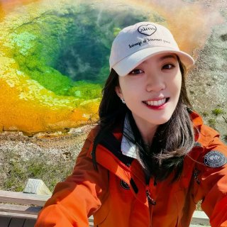 终于见到 黄石国家公园的牵牛花啦...