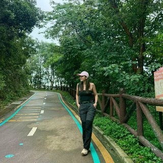 山、树与我