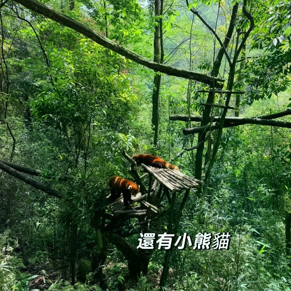 笔记图片