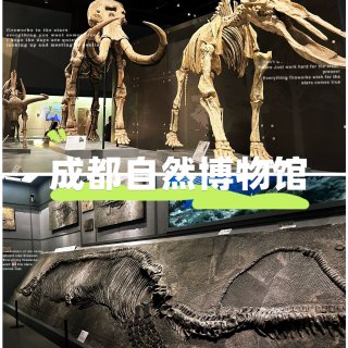 成都自然博物馆｜宝石+恐龙一站式搞定！...