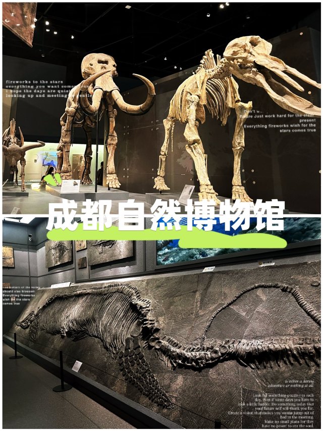 成都自然博物馆｜宝石+恐龙一站式搞定！