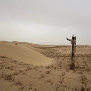 小确幸：新疆游第16天:塔克拉玛干沙漠公...