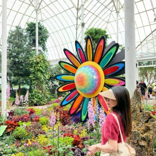 纽约绝美新展🌸被NYBG的复古波普花海硬...