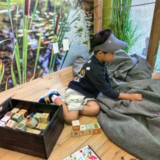 休斯顿｜40℃也能遛娃！✨空调+免费+自...