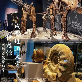 成都自然博物馆｜宝石+恐龙一站式搞定！...