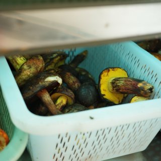 云南吃野生菌，亲眼目睹救护车上门拉人……...
