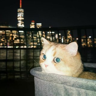 长期有效！JC上班族交友👸🏻仅限女生...