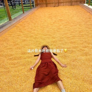 🇺🇸纽约周边｜1h直达可以采🍓的动物农场...