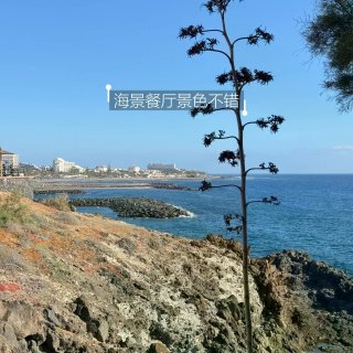 Tenerife穷游旅行美食日记plog...